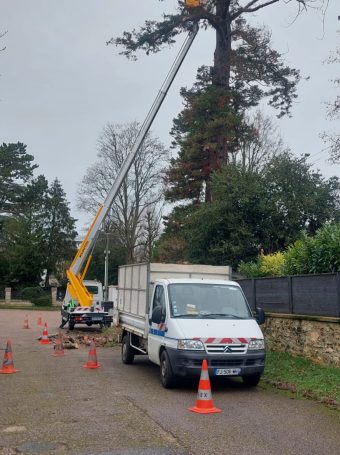 Elagage-arbre-meaux-05-elagueur